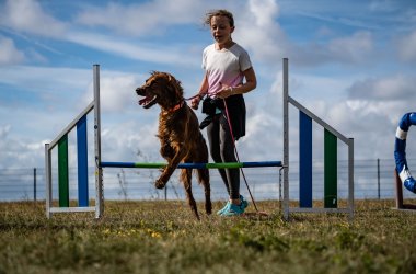 Hundeauslaufplatz auf Juist